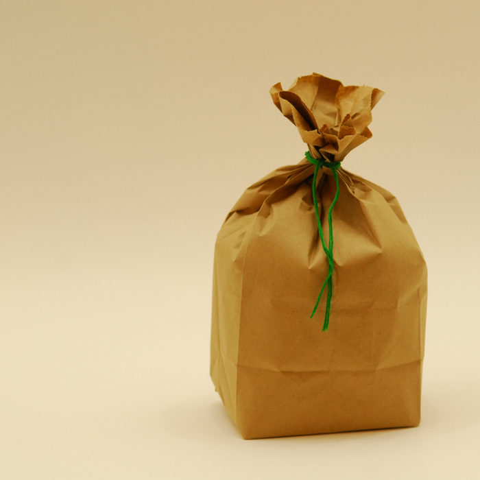 Bag