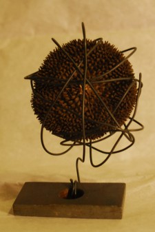 The Flower by Miguel Sorto